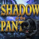Shadow Of The Panther
